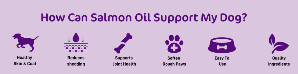 HowTrue's Salmon Oil Can Support Your Dog?